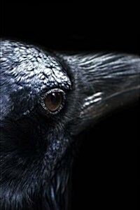 Crow: Notebook (Paperback)