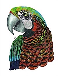 Tangleeasy Lined Journal Parrot (Hardcover)