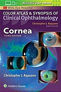 Cornea (Paperback)