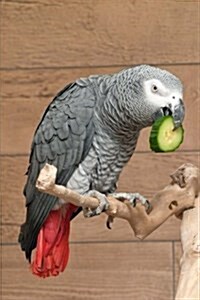 African Grey Parrots: Notebook (Paperback)
