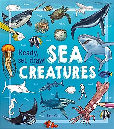 Ready, Set, Draw! Sea Creatures (Paperback)