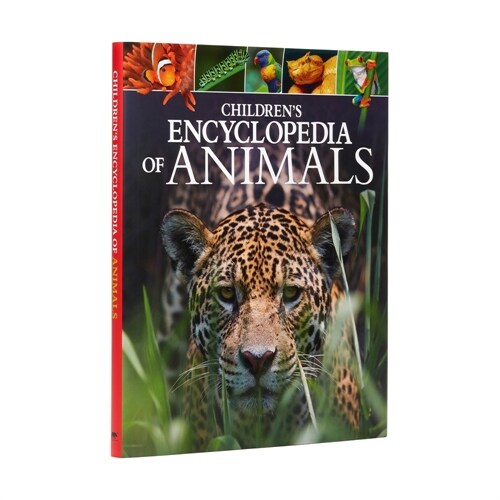 Childrens Encyclopedia of Animals: Take a Walk on the Wild Side! (Hardcover)