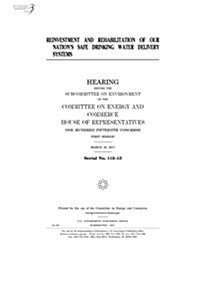 Reinvestment and Rehabilitation of Our Nations Safe Drinking Water Delivery Systems: Hearing Before the Subcommittee on Environment of the Committee (Paperback)