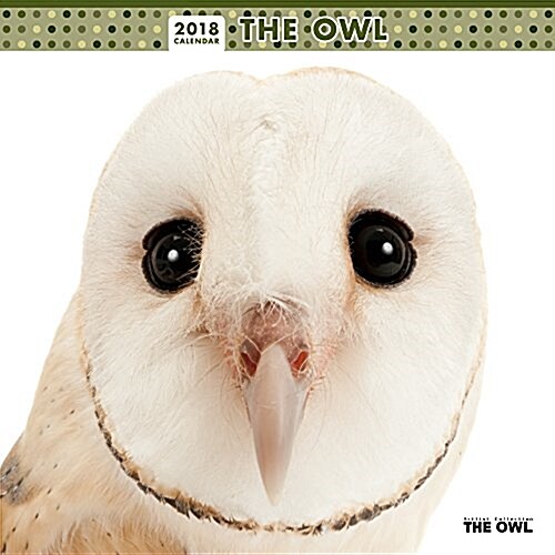 THE OWL 2018年 カレンダ- 壁掛け CL-1151 (オフィス用品)