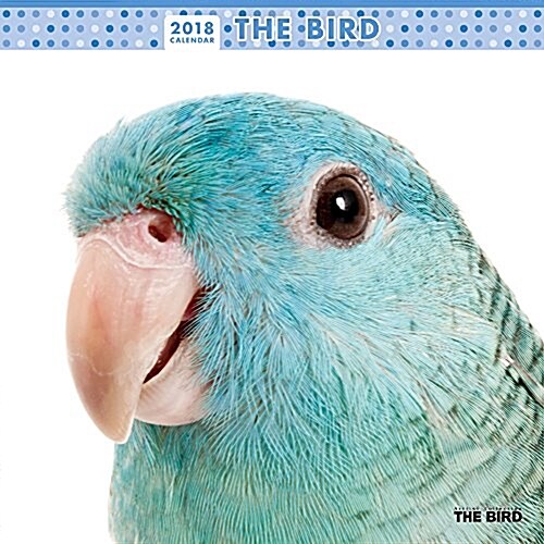 THE BIRD 2018年 カレンダ- 壁掛け CL-1150 (オフィス用品)