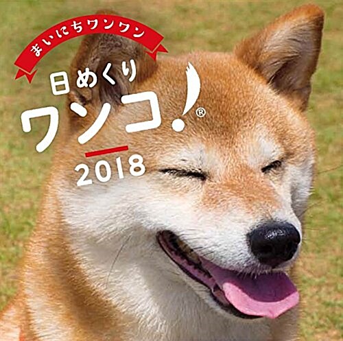 日めくりワンコ!2018年 犬の日めくりカレンダ- (オフィス用品)