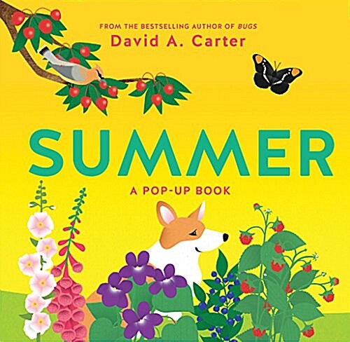 Summer: A Pop-Up Book (Hardcover)