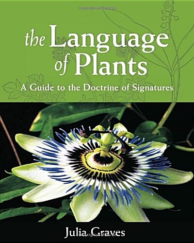 The Language of Plants: A Guide to the Doctrine of Signatures (Paperback)