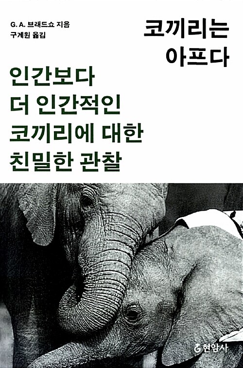 [중고] 코끼리는 아프다