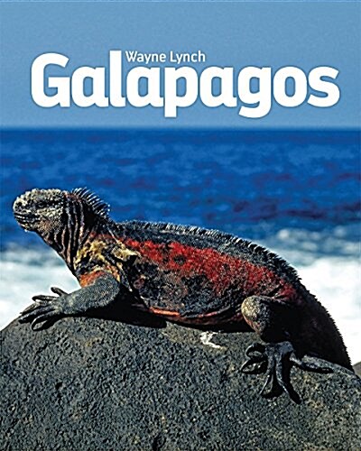 Galapagos: A Travelers Introduction (Paperback)