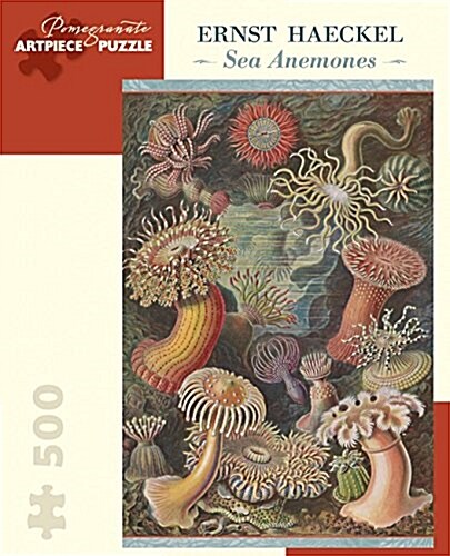 Ernst Haeckel (Other)