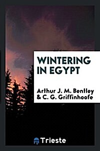 Wintering in Egypt (Paperback)