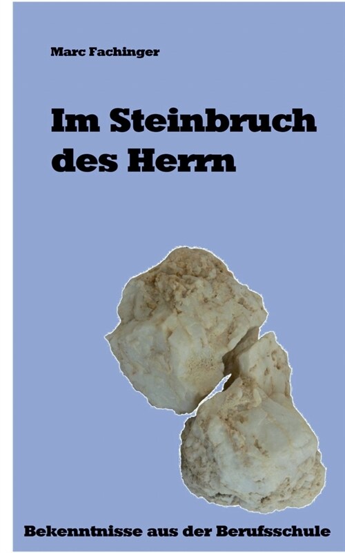 Im Steinbruch des Herrn: Bekenntnisse aus der Berufsschule (Paperback)