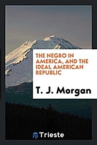 The Negro in America, and the Ideal American Republic (Paperback)