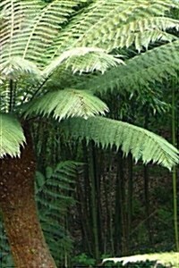 Ferns Notebook (Paperback)