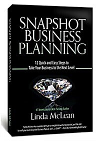 Snapshot Business Planning: 12 Quick and Easy Steps to Take Your Business to the Next Level (Paperback)