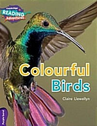 Cambridge Reading Adventures Colourful Birds Purple Band (Paperback)