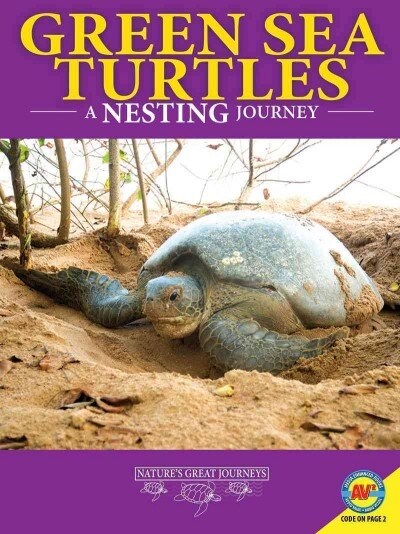 Green Sea Turtles: A Nesting Journey (Library Binding)