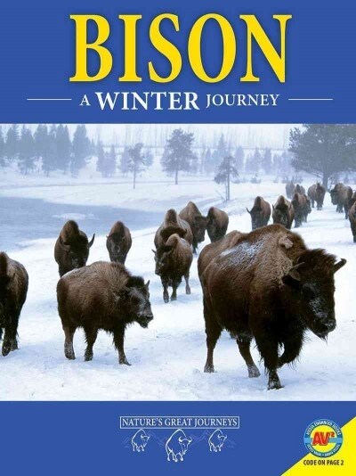 Bison: A Winter Journey (Library Binding)