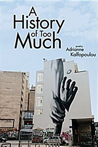 A History of Too Much (Paperback)