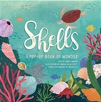 Shells :a pop-up book of wonder 
