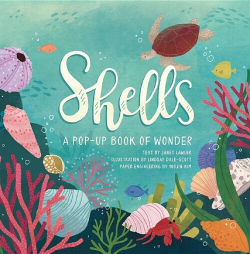 Shells: A Pop-Up Book of Wonder (Hardcover)