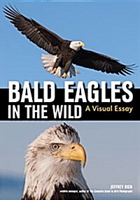 Bald Eagles in the Wild: A Visual Essay of Americas National Bird (Paperback)