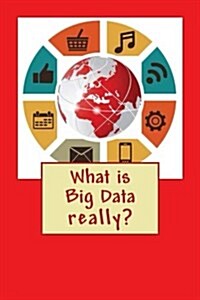 What Is Big Data? (Paperback)