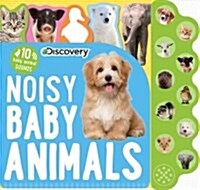 Discovery Noisy Baby Animals: 10 Baby Animal Sounds (Board Books)