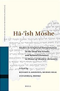 HĀ-?h MŌshe: Studies in Scriptural Interpretation in the Dead Sea Scrolls and Related Literature in Honor of Moshe J. Bernstein (Hardcover)