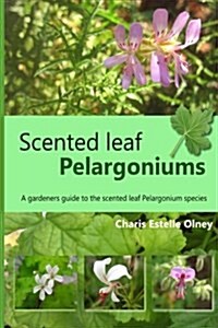 Scented Leaf Pelargoniums: A Gardeners Guide to the Scented Leaf Pelargonium Species (Paperback)