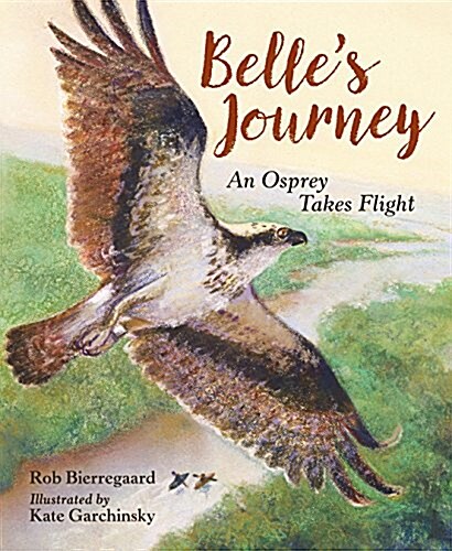 Belles Journey: An Osprey Takes Flight (Hardcover)
