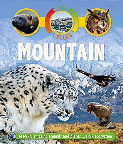 Life Cycles: Mountain (Hardcover)
