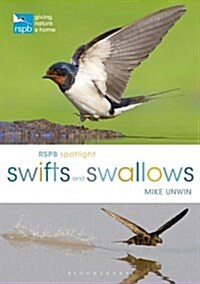 Rspb Spotlight Swifts and Swallows (Paperback)