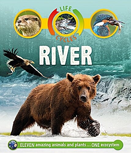 Life Cycles: River (Hardcover)