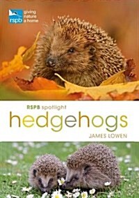 Rspb Spotlight Hedgehogs (Paperback)