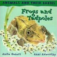 Frogs and Tadpoles:Animals & Their Babies (Hardcover)