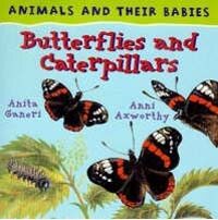 Butterflies and Caterpillars:Animals & Their Babies (Hardcover)