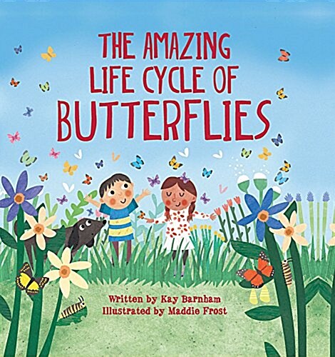 The Amazing Life Cycle of Butterflies (Hardcover)
