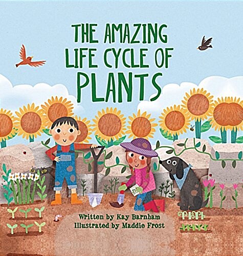 The Amazing Life Cycle of Plants (Hardcover)