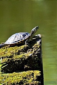 Turtles Notebook (Paperback)