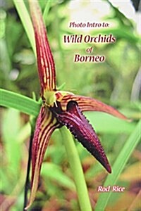Photo Intro to: Wild Orchids of Borneo (Paperback)