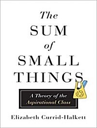 The Sum of Small Things: A Theory of the Aspirational Class (MP3 CD)