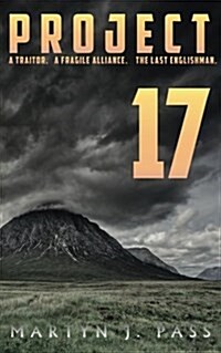 Project 17 (Paperback)
