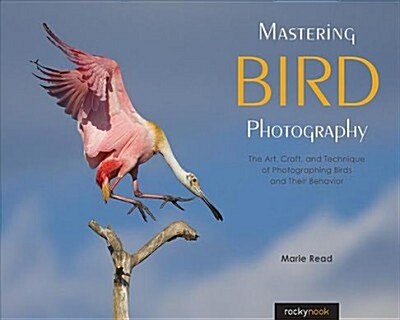Mastering Bird Photography: The Art, Craft, and Technique of Photographing Birds and Their Behavior (Paperback)