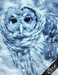 Bird Notebook Collection: Snow Owl Nature Art, Writing Composition Notebook/Journal/Diary Gift Idea 100 Pages, 8.5 X 11 (Paperback)