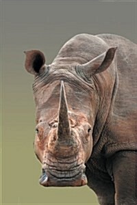 Rhinoceros Notebook: 100 Page Wide-Lined Blank Notebook (Paperback)