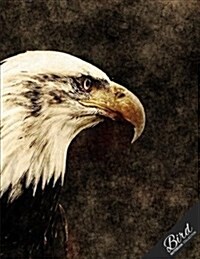 Bird Notebook Collection: Eagle Portrait Art, Writing Composition Notebook/Journal/Diary Gift Idea 100 Pages, 8.5 X 11 (Paperback)