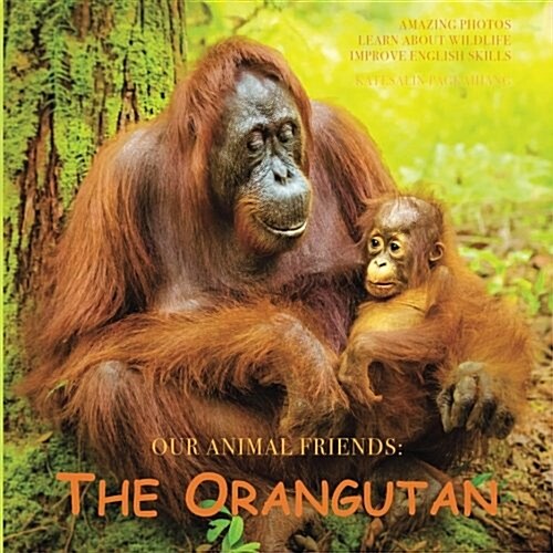 The Orangutan (Paperback)