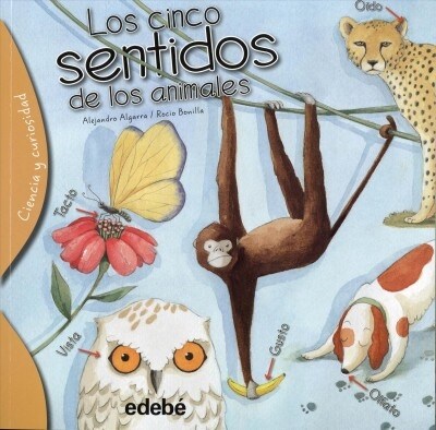 Los Cinco Sentidos de Los Animales (Paperback)